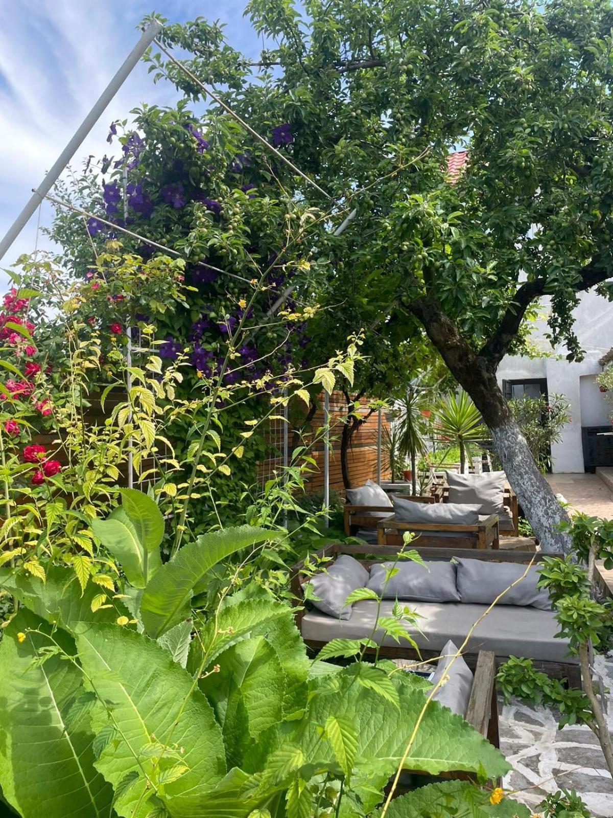 Casa Mediterana Доуэ-Май Экстерьер фото
